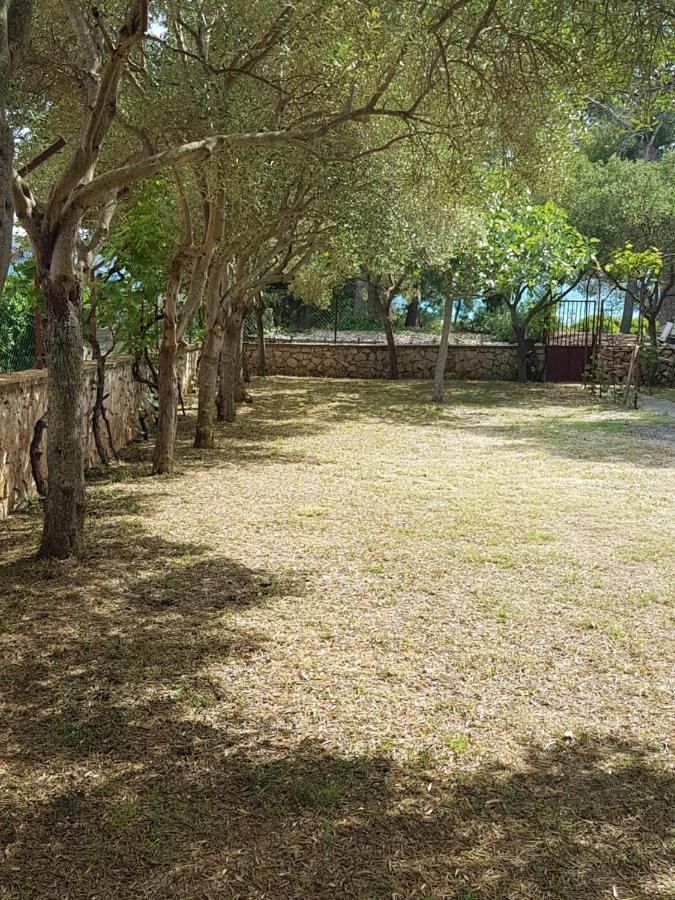 Apartman Lugovic Šibenik Exteriér fotografie